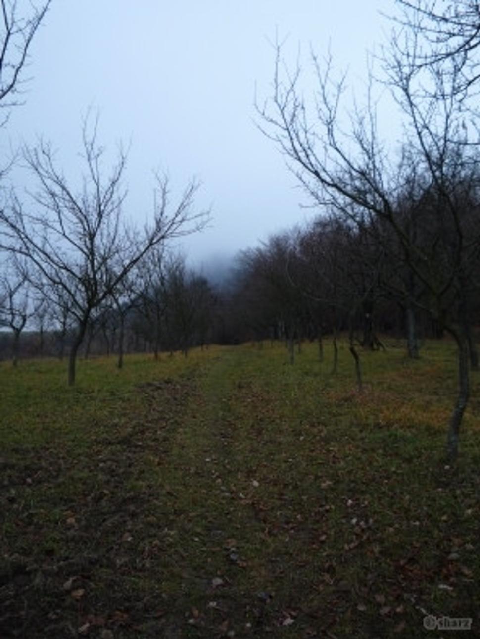 Obrázok blogu