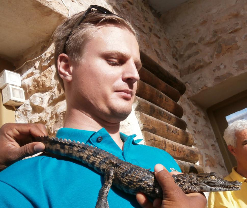 Neviem prečo, ale Lacoste tričko sa mladému aligátorovi náramne pozdávalo