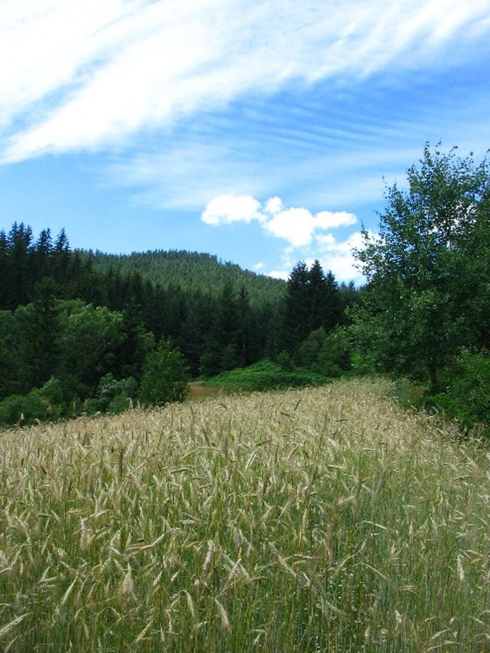 Obrázok blogu