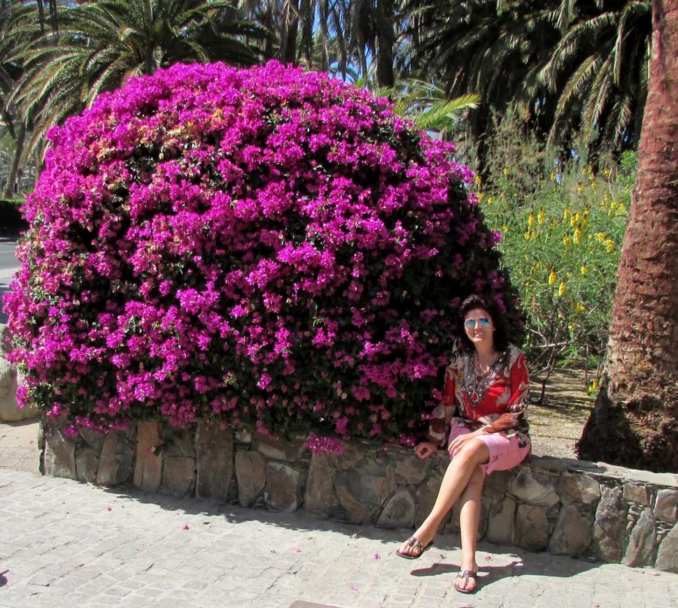 Maspalomas