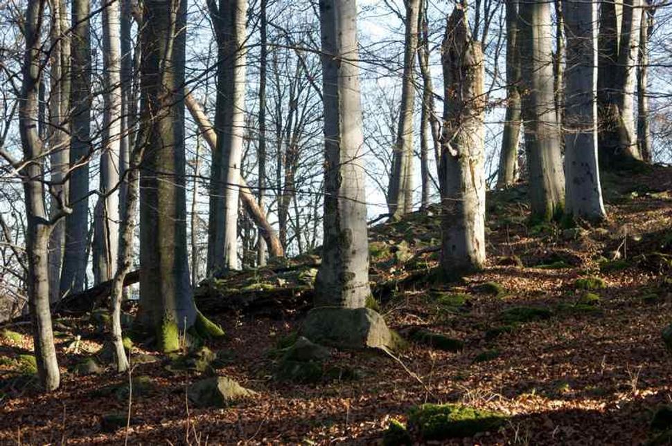 Obrázok blogu