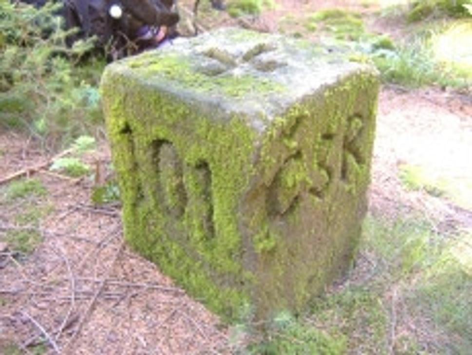 Obrázok blogu