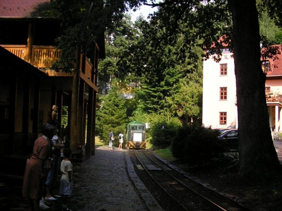 vlacik