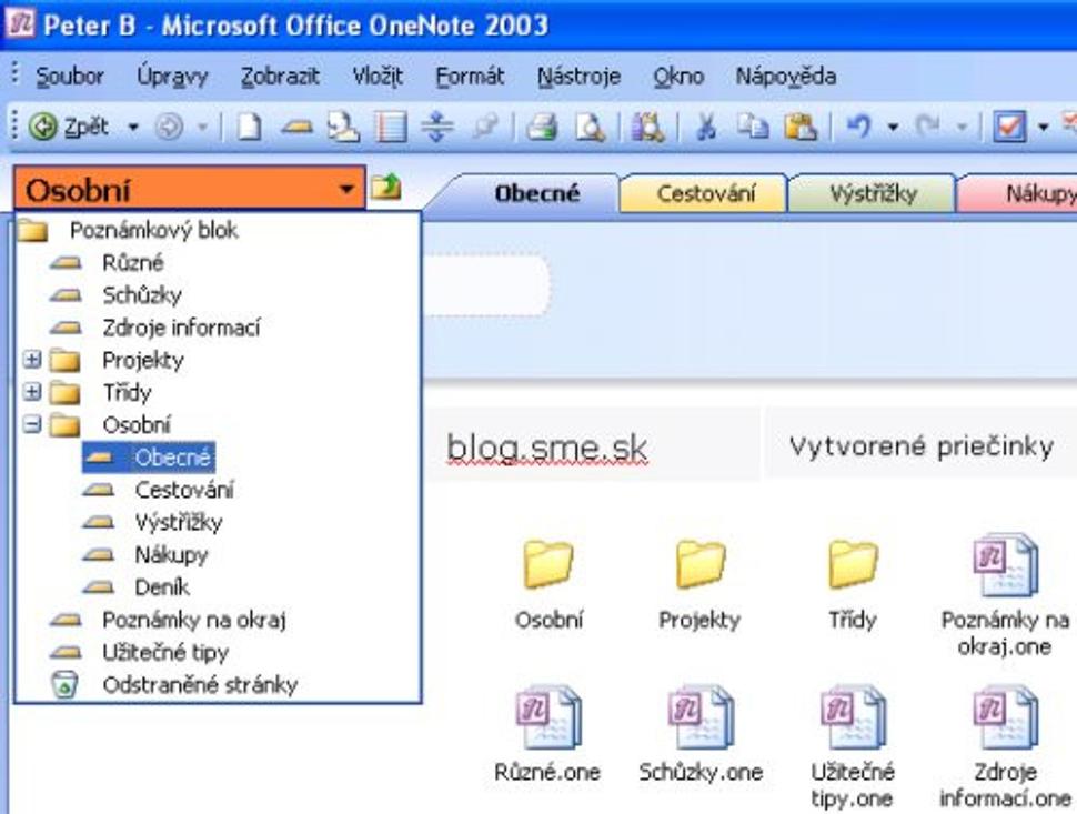 Poznámka v MS OneNote 2003