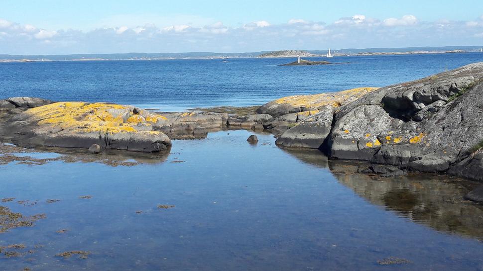 Ostrov Vrångö