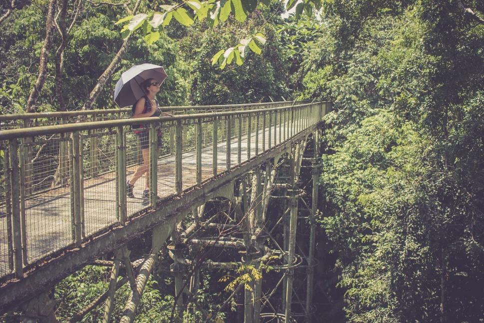 Rainforest Discovery Center - márne sme mohli hľadať vzácnych vtákov Malajzie, akurát nám bolo riadne teplo