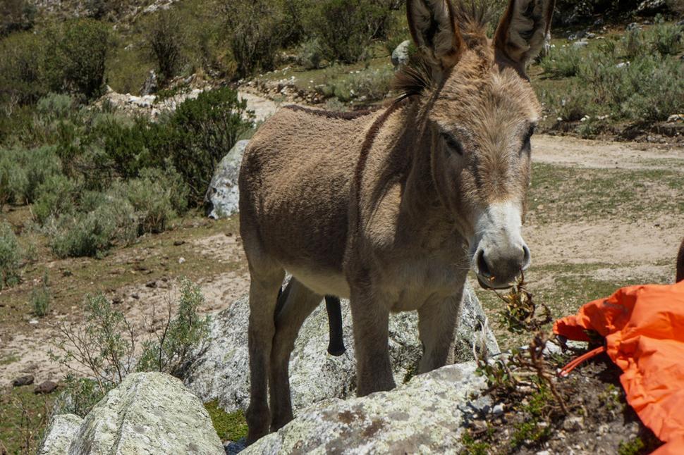 Vystríhali nás. Tri ženy by sa nemali po peruánskych horách motať samé. Mali pravdu. Keď sa holky na hodinku odpojili, hrozilo mi reálne nebezpečenstvo.