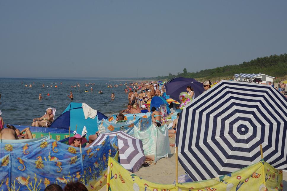 Krynica morska