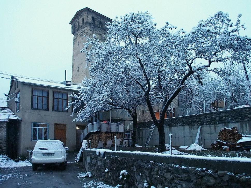 Mestia