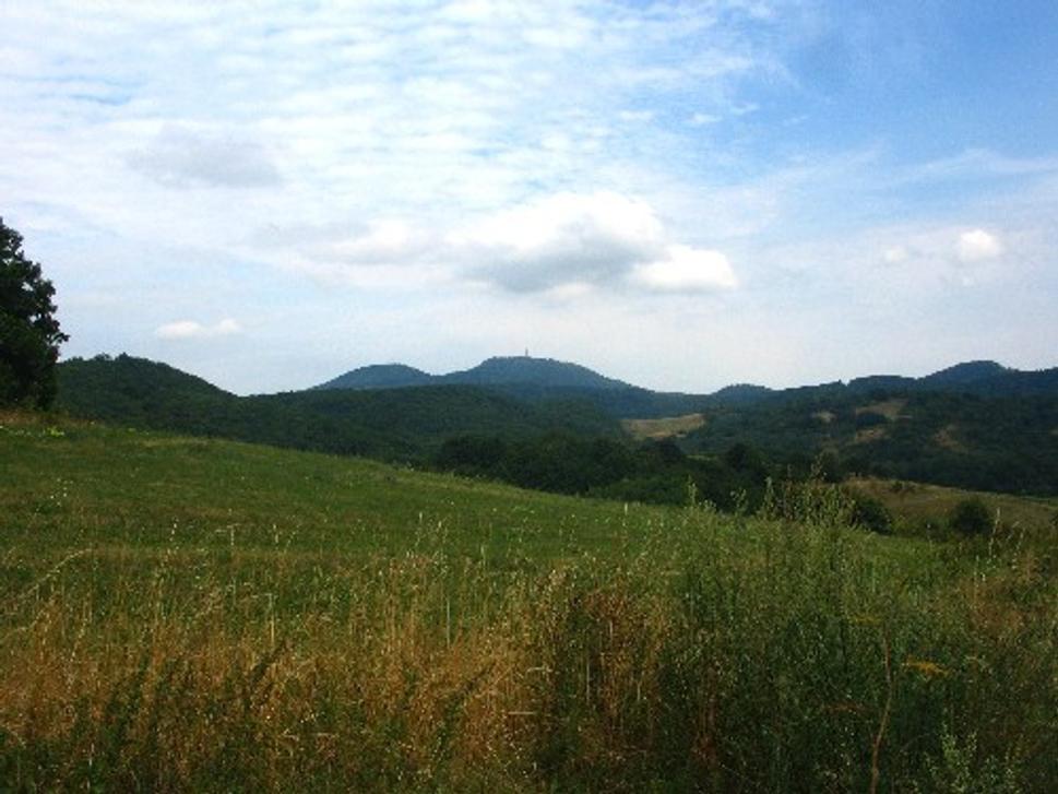 Obrázok blogu