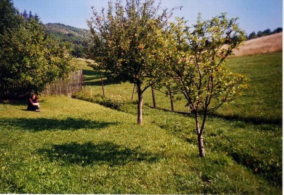 Obrázok blogu