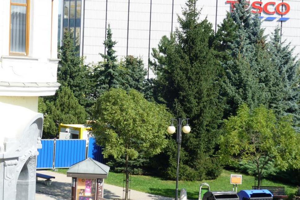 Obrázok blogu