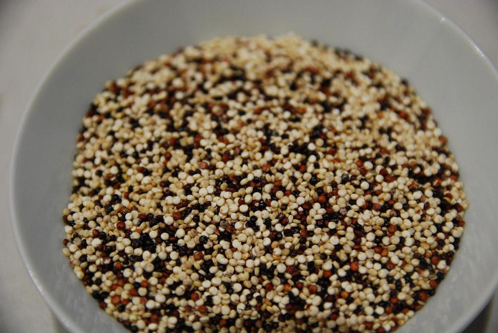 Quinoa semená v rôznych farbách