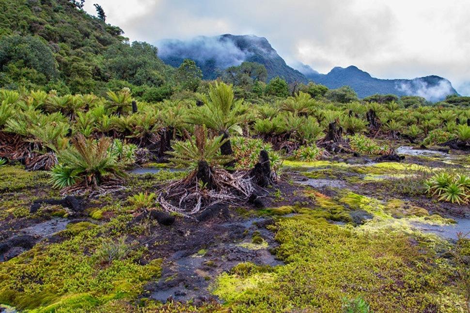 Termálne pramene San Juan