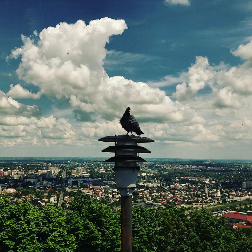Aká krajina, taký turul. Výhľad z Vysokého zámku.