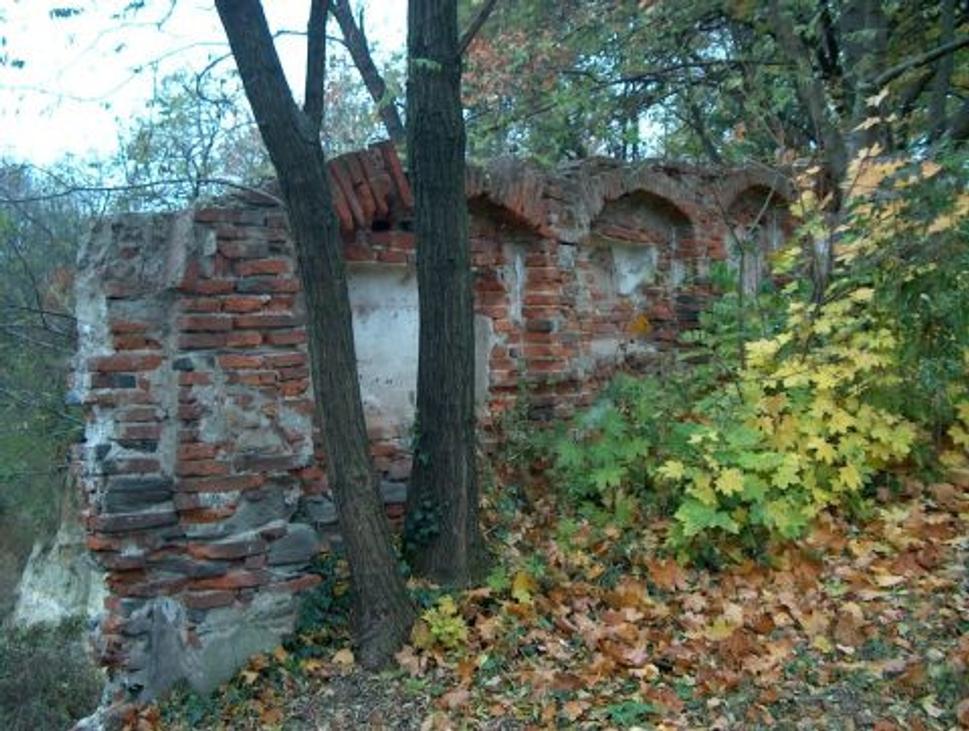 Obrázok blogu