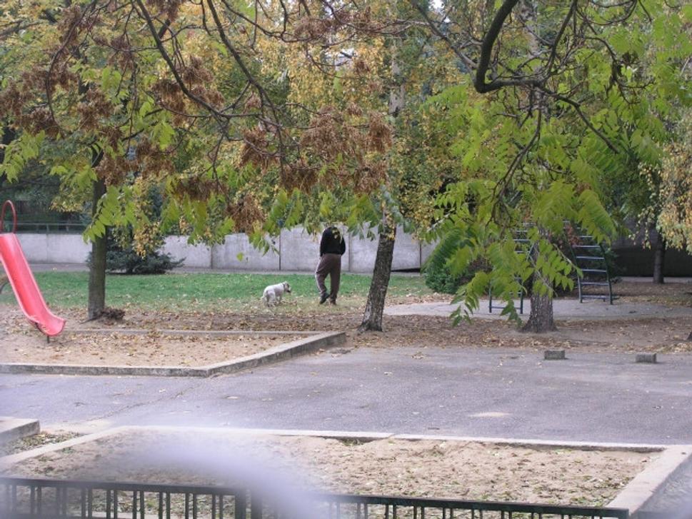 Obrázok blogu