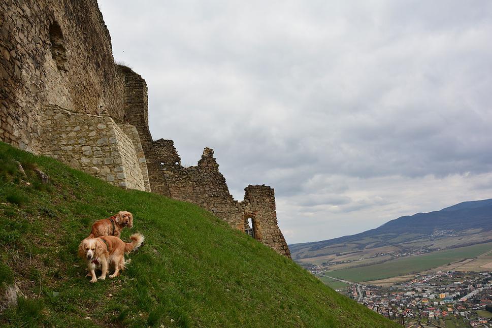 popri hornom hrade smeruje južná trasa nadol cca 400 m