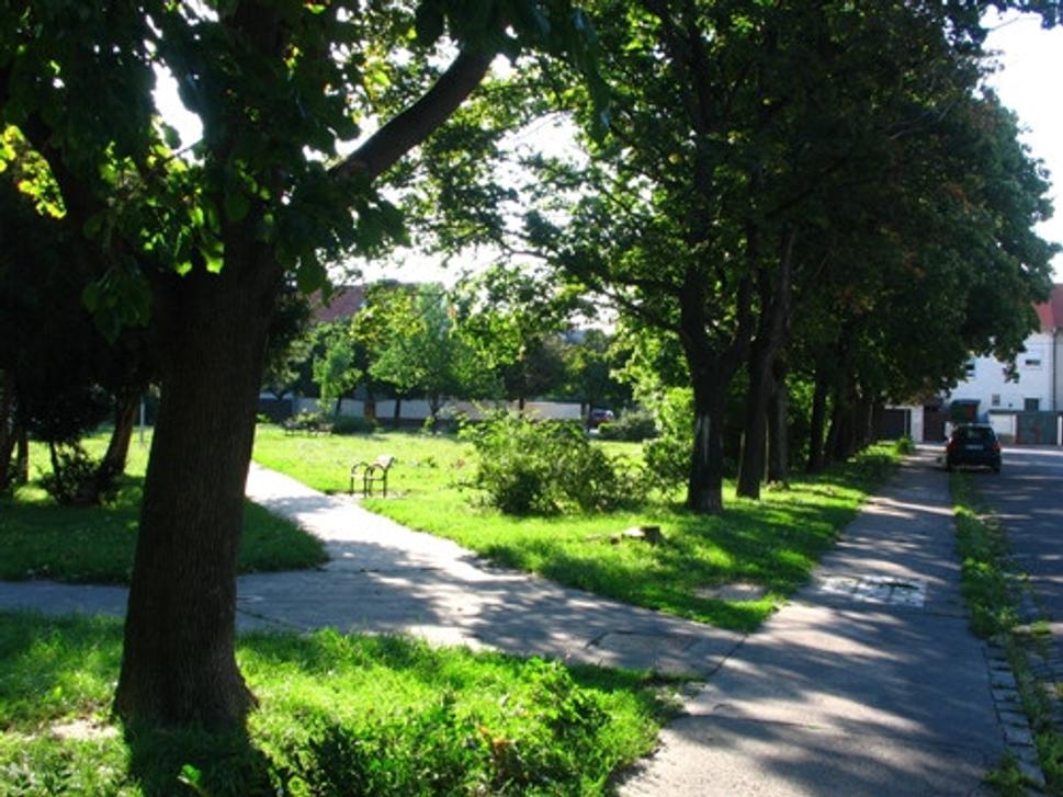 Obrázok blogu