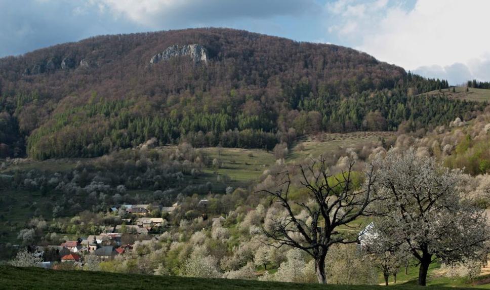 Brdárka