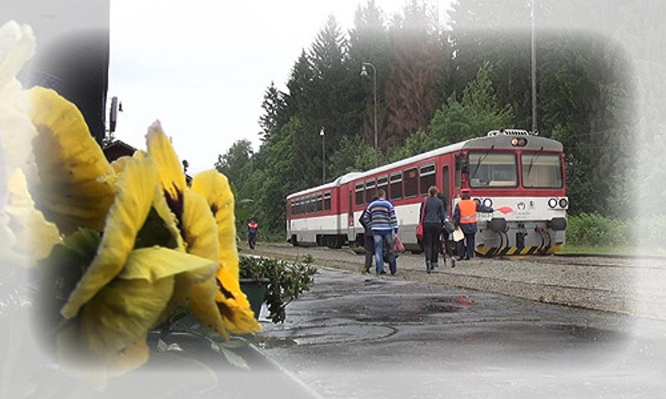 žst