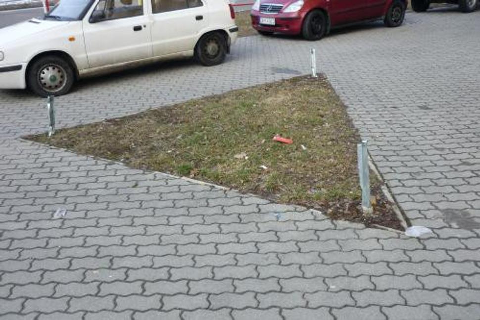 Obrázok blogu