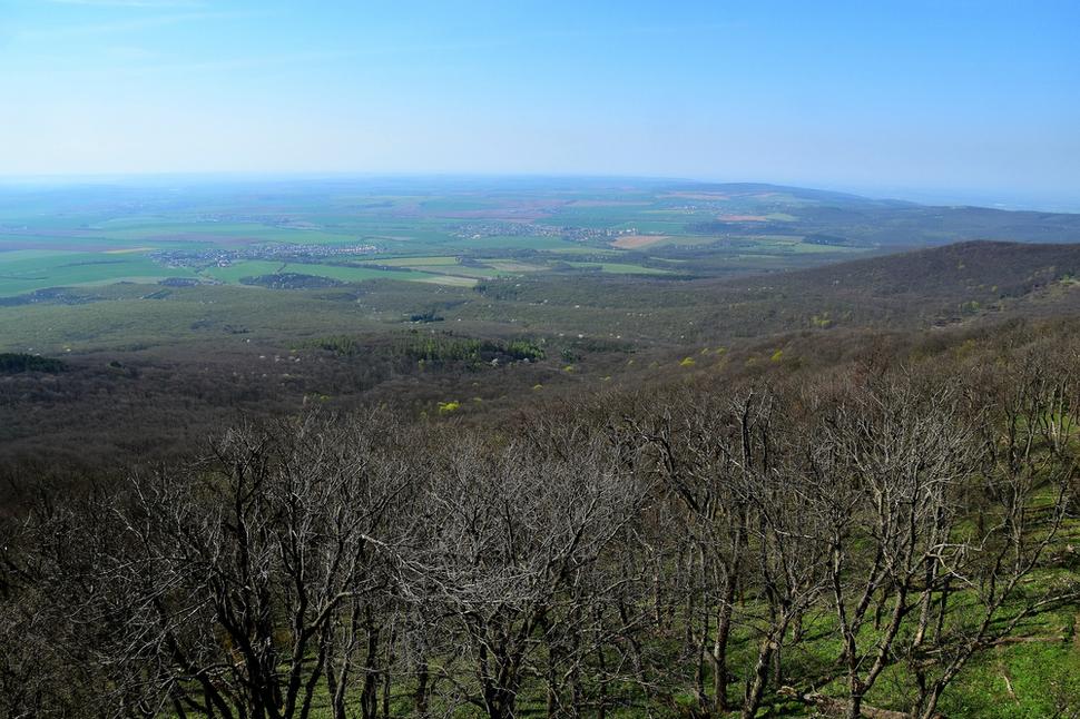 Obrázok blogu