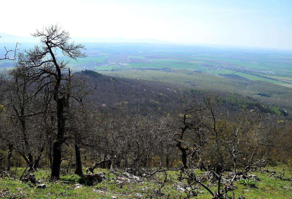 Obrázok blogu