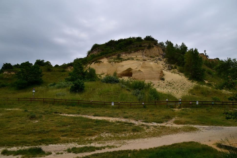 pieskovec Sandbergu