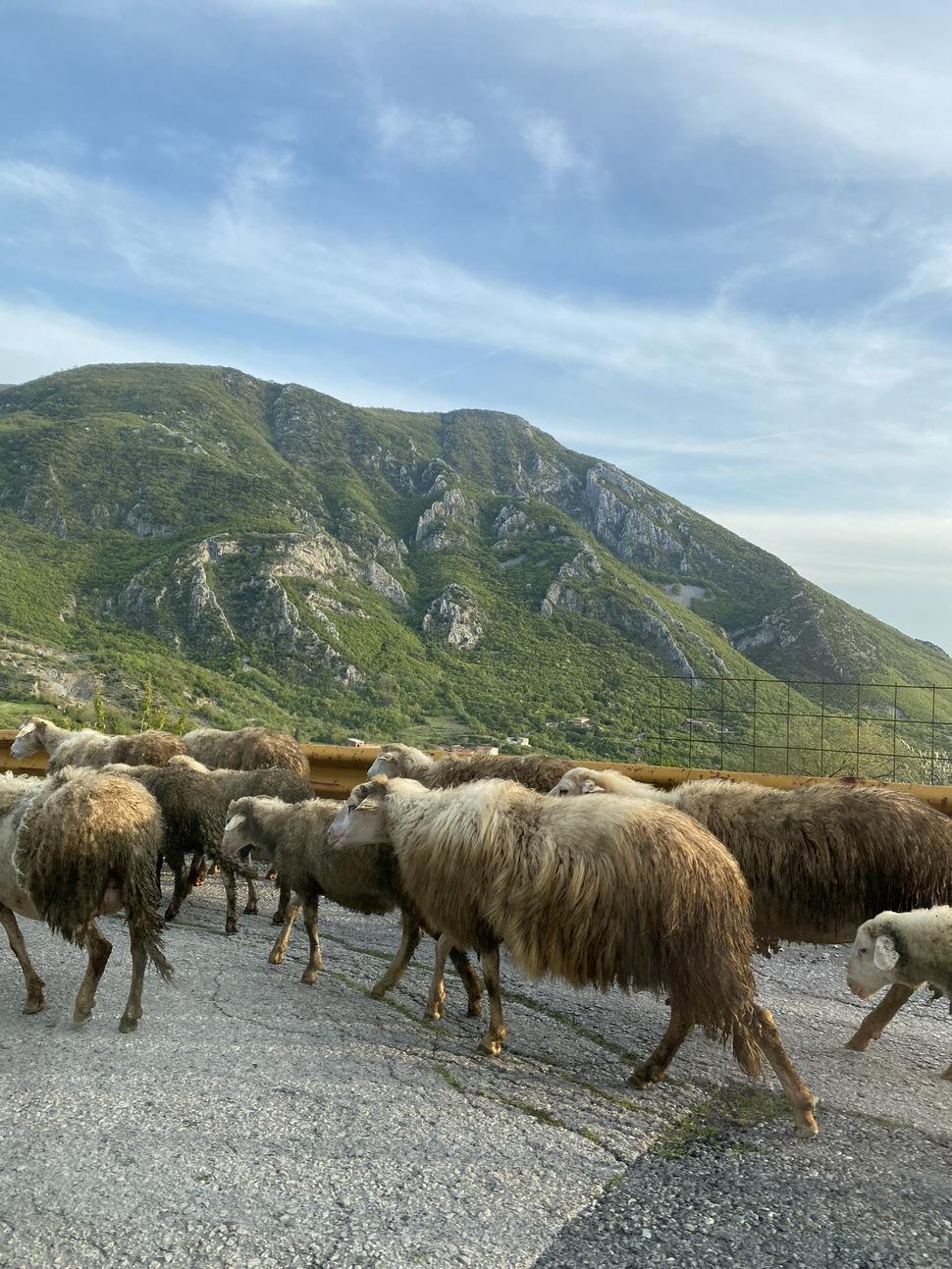 Cesta v pohorí Rumija