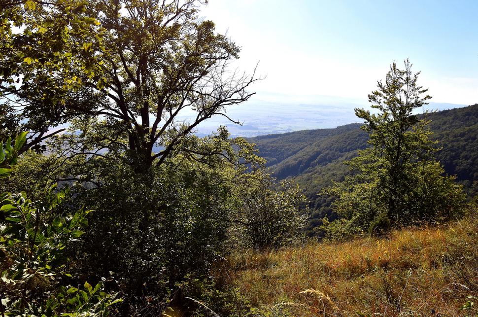 chodník na vrchol a čiastočné výhľady