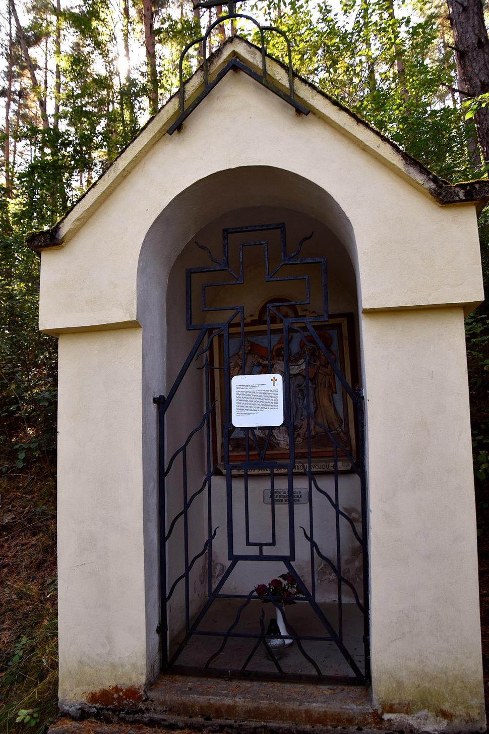Obrázok blogu
