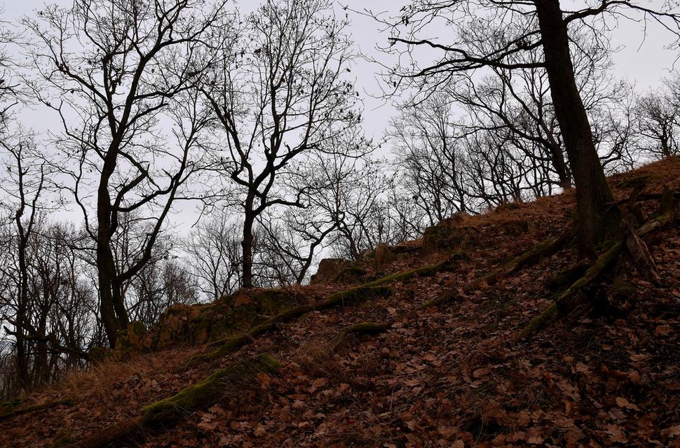 stúpanie na hrebeň Kozlice