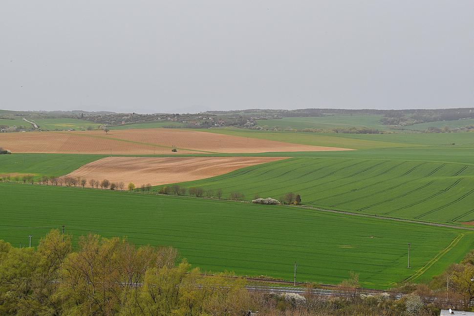 Obrázok blogu