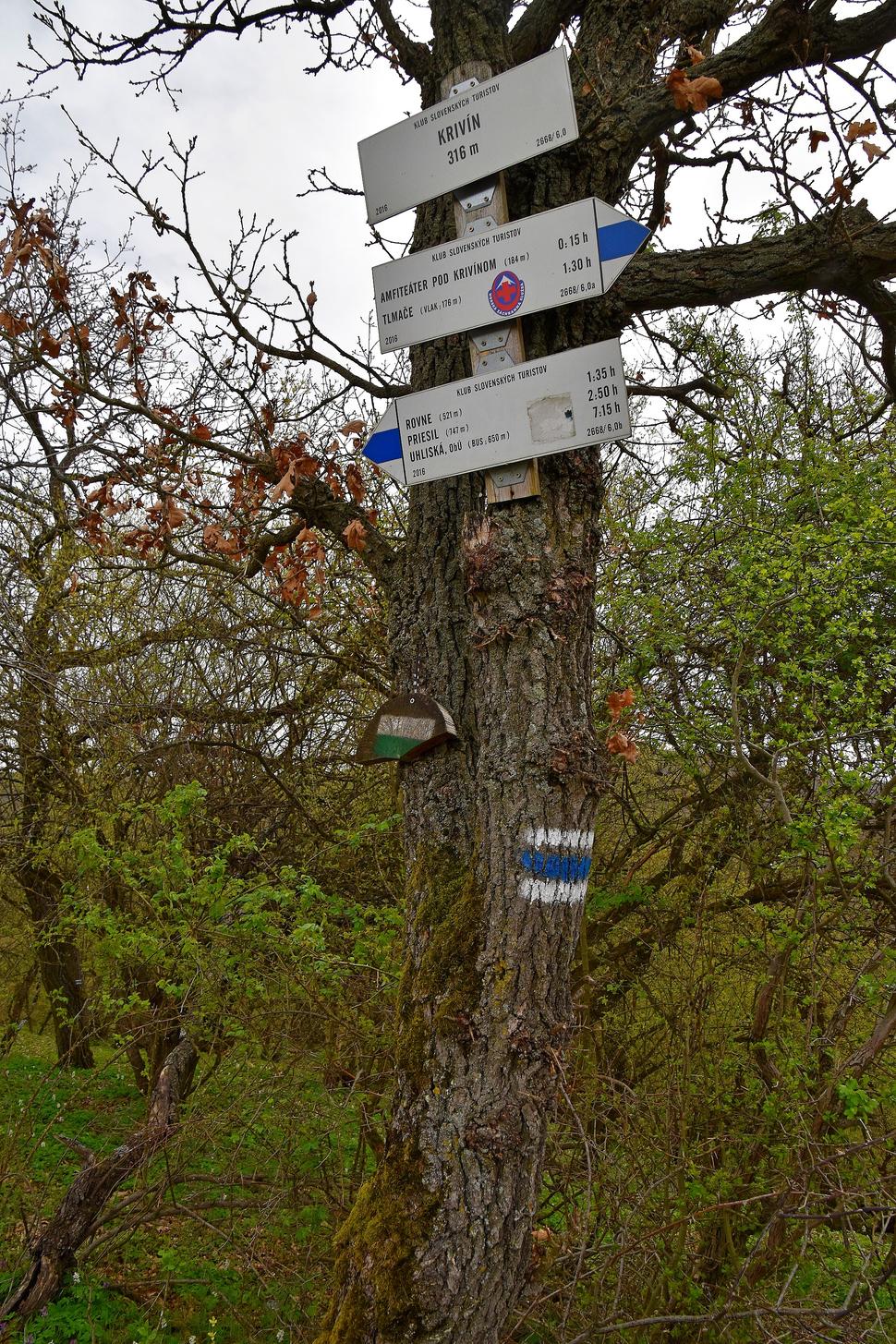 Obrázok blogu