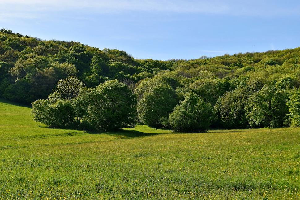 lúky nad obcou