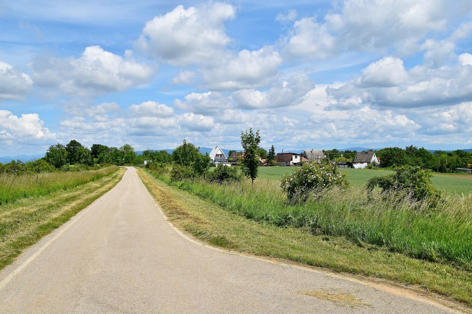 príjazdová cesta od vinohradov