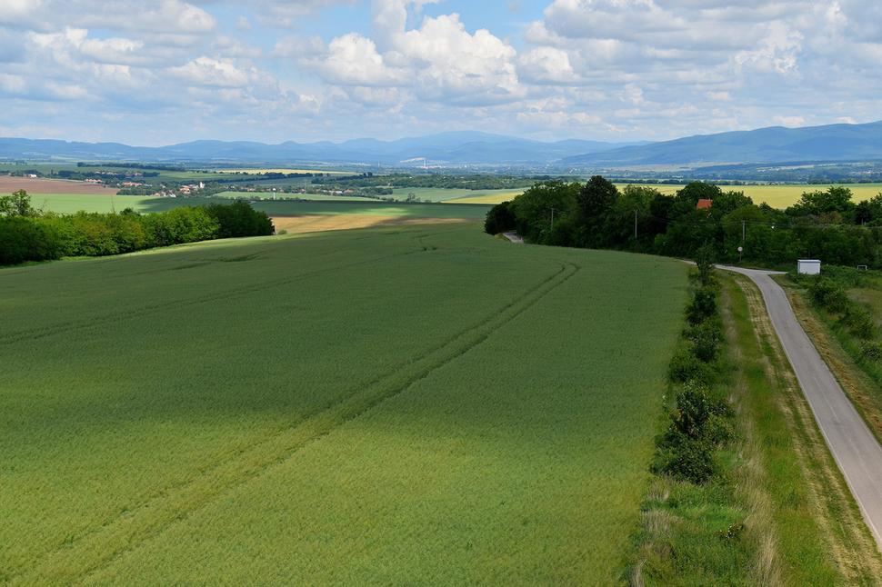 Obrázok blogu