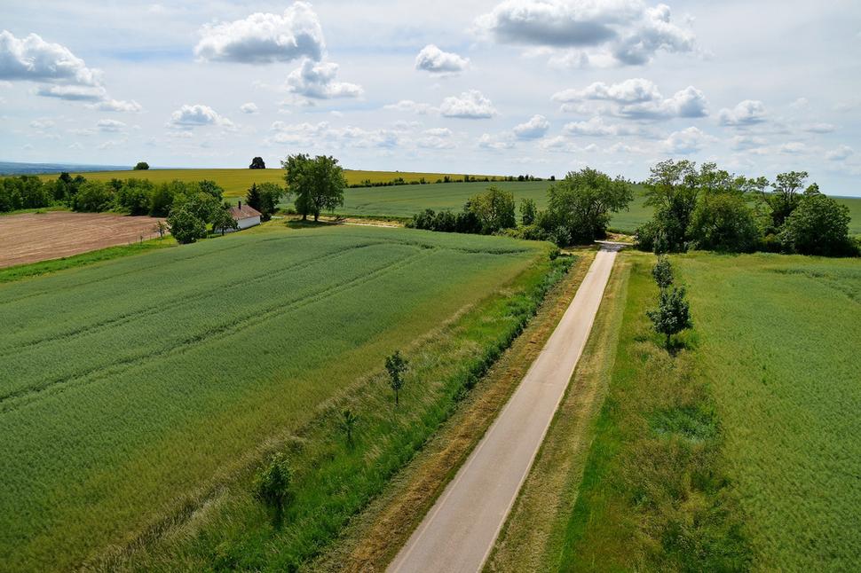 Obrázok blogu