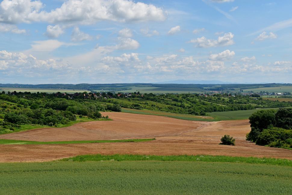 Obrázok blogu
