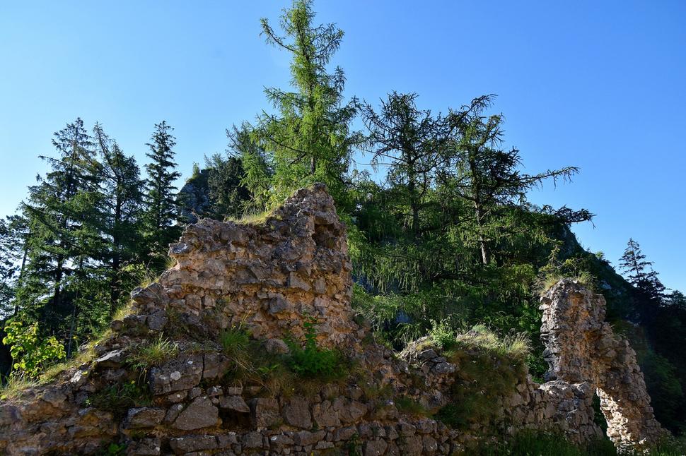 Obrázok blogu
