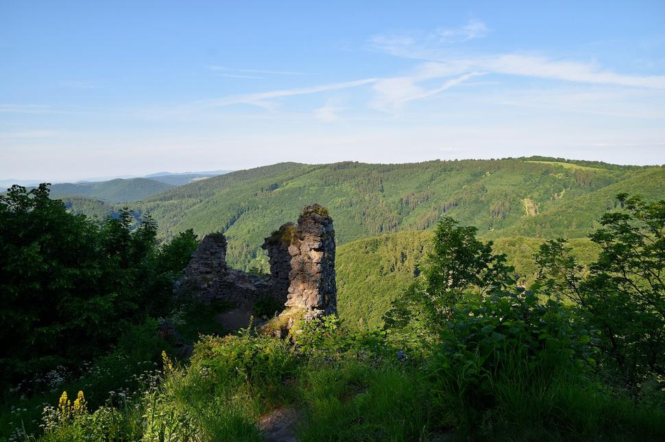 Obrázok blogu