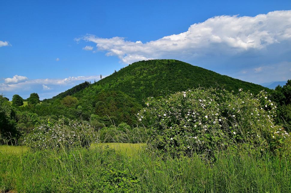 Chotúč
