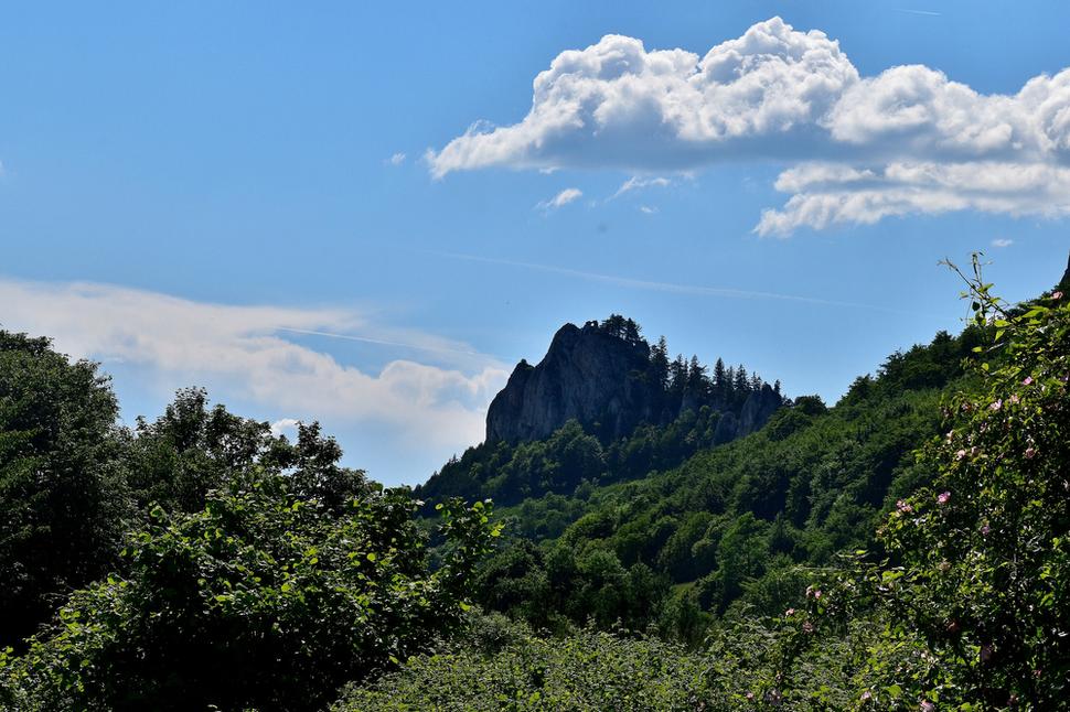 hradné bralo