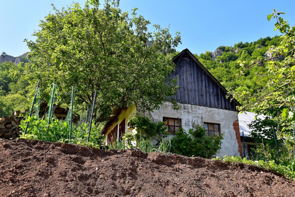 Obrázok blogu