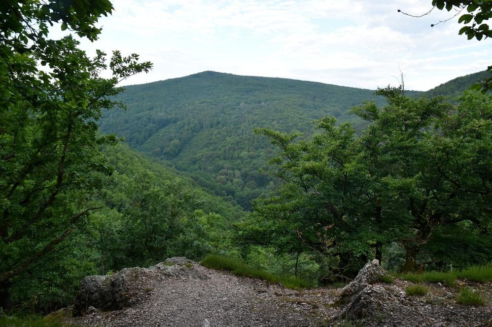 výhľad