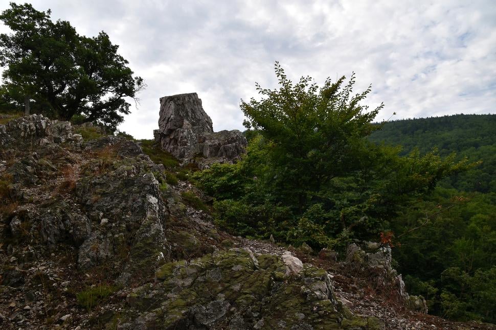 Obrázok blogu