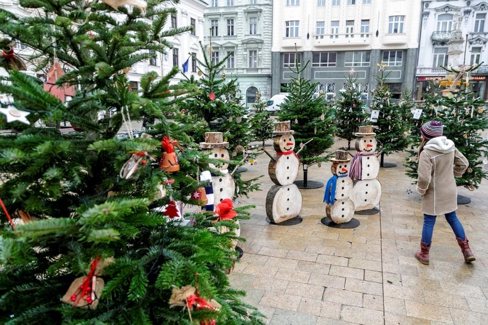 The Christmas forest will decorate the Main Square in Bratislava until December 20.