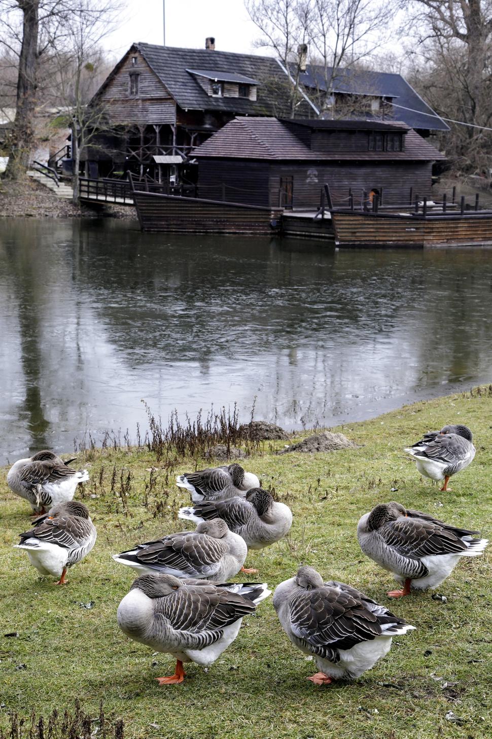 The water mill in Kolárovo belongs to the last floating water mills in Slovakia.