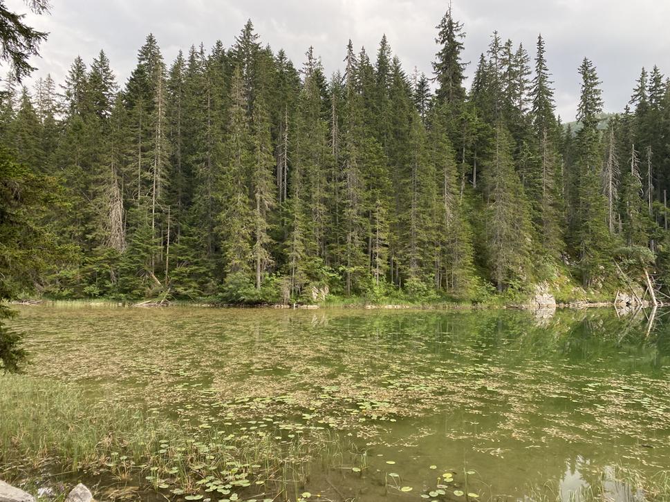 Zminje jezero